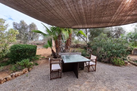 Finka Els Llombards, Mallorca, Hiszpania 1 sypialnia, 90 mkw. nr 137507 – zdjęcie 4