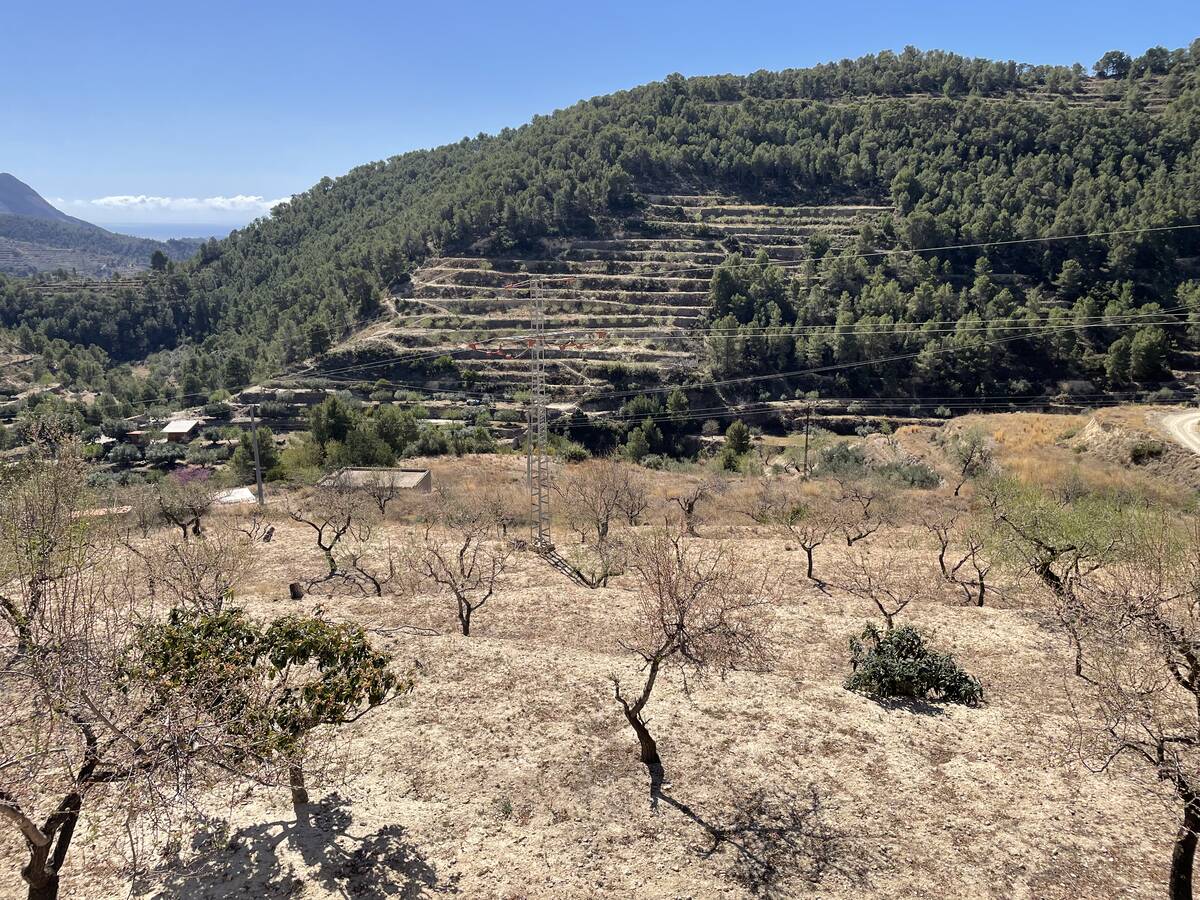 Terreno a Sella, Alicante, Spagna 40 mq. N° 192519