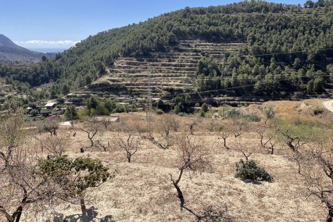 Terreno in vendita a Sella, Alicante, Spagna 40 mq. N° 192519 - foto 2