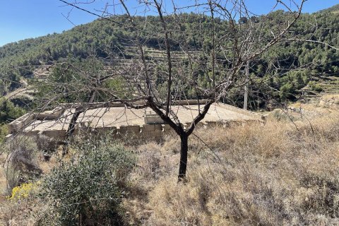 Terreno in vendita a Sella, Alicante, Spagna 40 mq. N° 192519 - foto 4