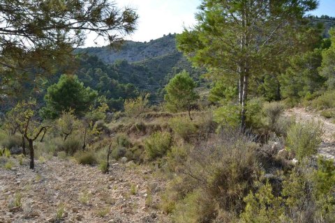 Terreno in vendita a Relleu, Alicante, Spagna N° 192522 - foto 5