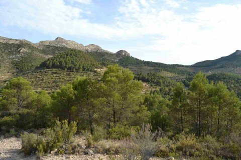 Terreno a Relleu, Alicante, Spagna N° 192522