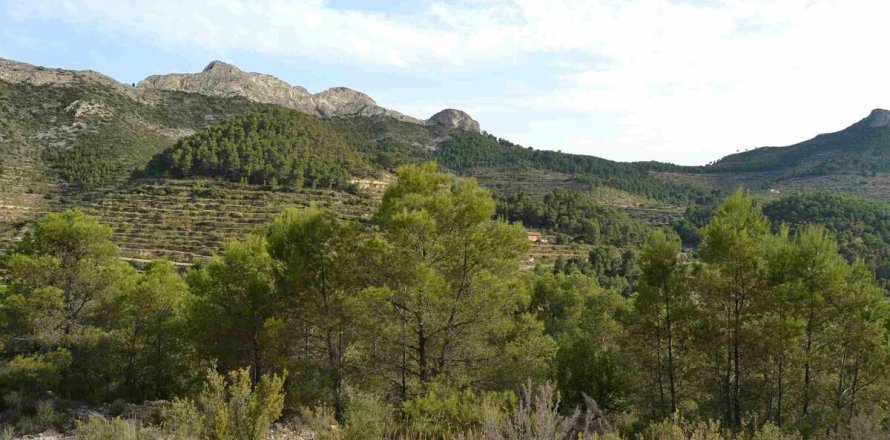 Terreno a Relleu, Alicante, Spagna N° 192522