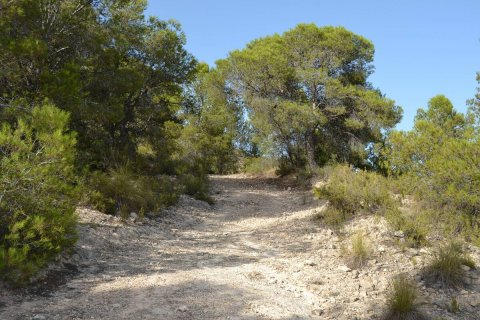 Terreno in vendita a Relleu, Alicante, Spagna N° 192522 - foto 6