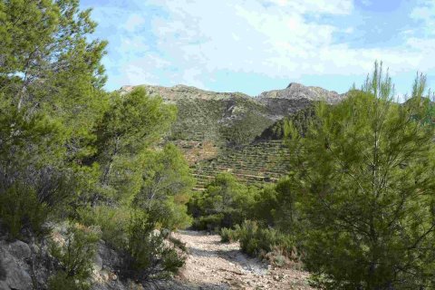 Terreno in vendita a Relleu, Alicante, Spagna N° 192522 - foto 3