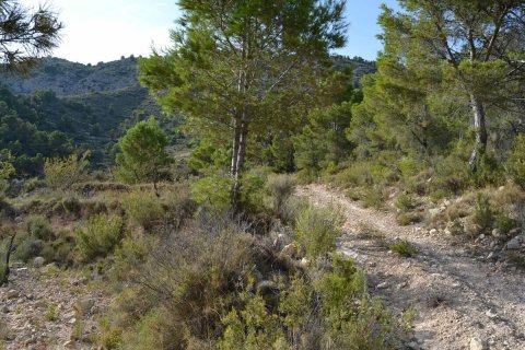 Terreno in vendita a Relleu, Alicante, Spagna N° 192522 - foto 4
