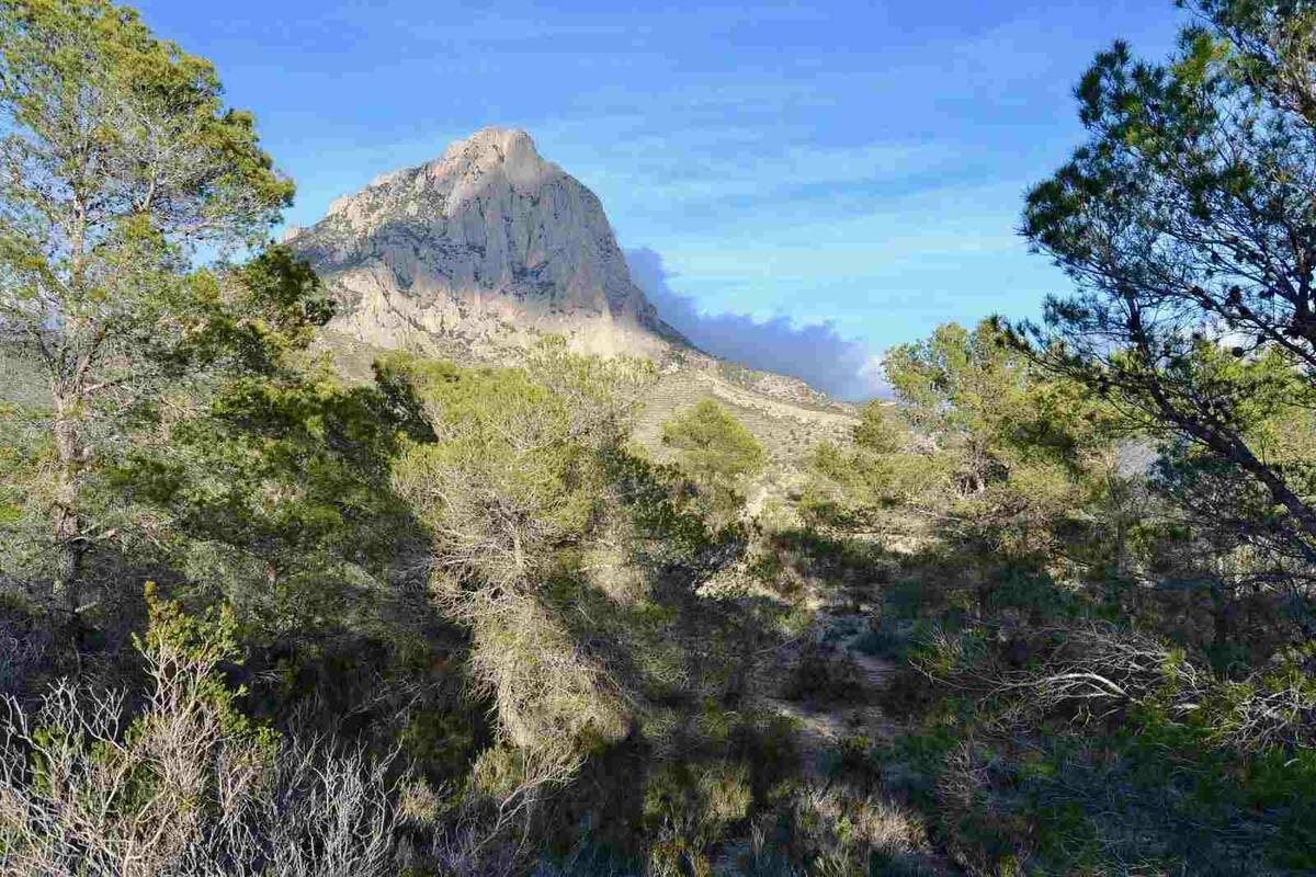 Land plot in Finestrat, Alicante, Spain No. 192524