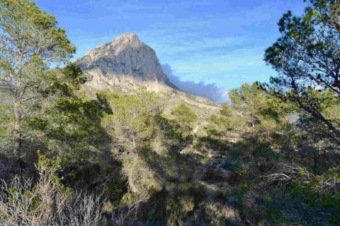 Terreno in vendita a Finestrat, Alicante, Spagna N° 192524 - foto 8