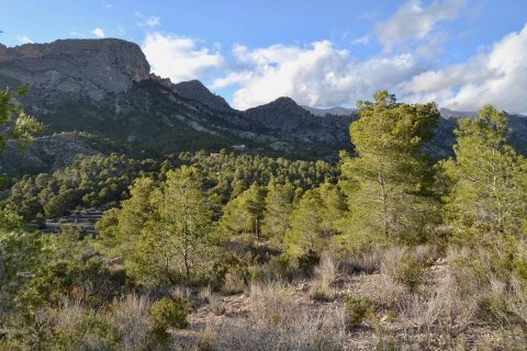 Terreno in vendita a Finestrat, Alicante, Spagna N° 192524 - foto 2