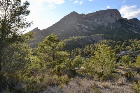 Terreno in vendita a Finestrat, Alicante, Spagna N° 192524 - foto 3