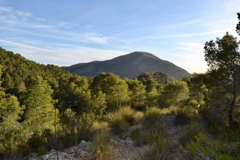 Terreno in vendita a Finestrat, Alicante, Spagna N° 192524 - foto 4