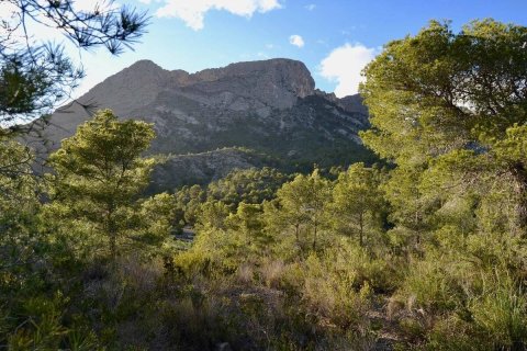 Terreno in vendita a Finestrat, Alicante, Spagna N° 192524 - foto 6