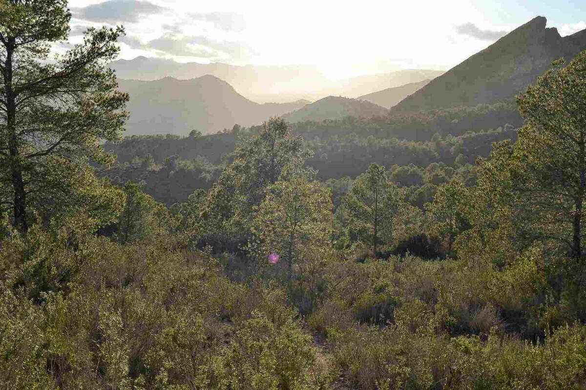 Land plot in Finestrat, Alicante, Spain No. 192524