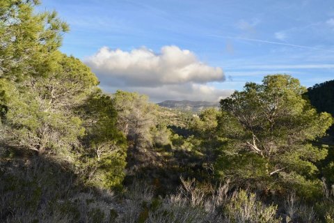 Terreno in vendita a Finestrat, Alicante, Spagna N° 192524 - foto 7