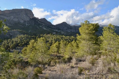 Terreno a Finestrat, Alicante, Spagna N° 192524