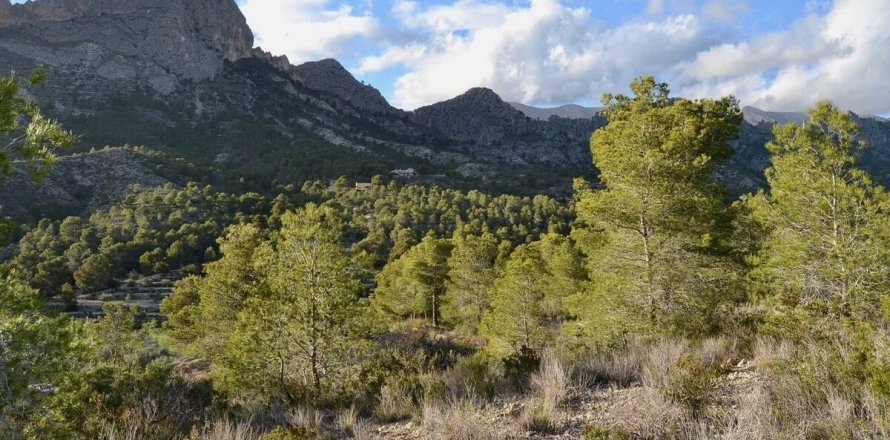 Terreno a Finestrat, Alicante, Spagna N° 192524