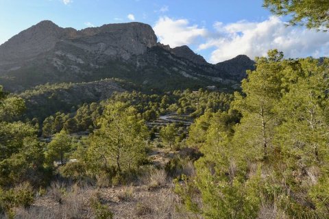 Terreno in vendita a Finestrat, Alicante, Spagna N° 192524 - foto 5