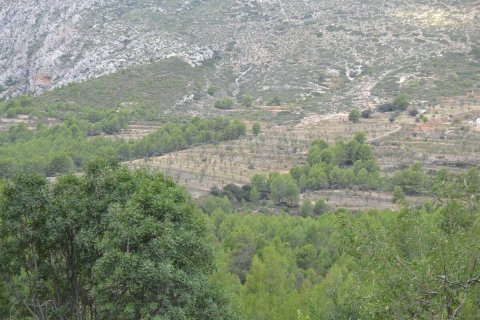 Finca in vendita a Benimantell, Alicante, Spagna 4 camere da letto, 400 mq. N° 192523 - foto 6