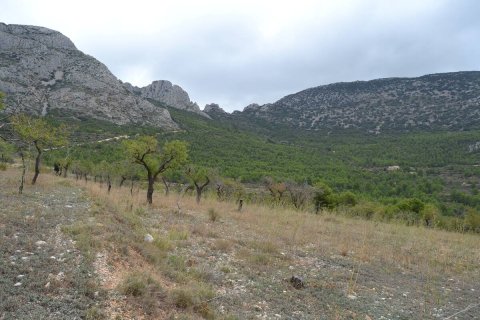 Finca in vendita a Benimantell, Alicante, Spagna 4 camere da letto, 400 mq. N° 192523 - foto 2