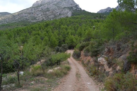 Finca in vendita a Benimantell, Alicante, Spagna 4 camere da letto, 400 mq. N° 192523 - foto 7