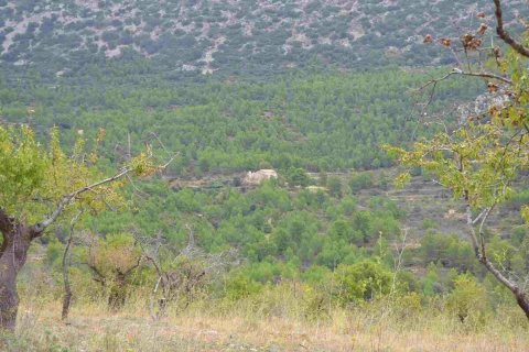 Finca a Benimantell, Alicante, Spagna 4 camere da letto, 400 mq. N° 192523