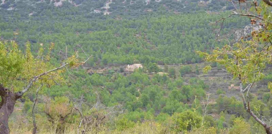 Finca a Benimantell, Alicante, Spagna 4 camere da letto, 400 mq. N° 192523