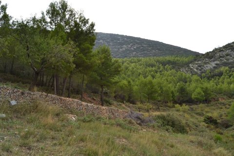 Finca in vendita a Benimantell, Alicante, Spagna 4 camere da letto, 400 mq. N° 192523 - foto 17