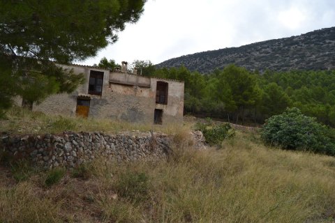 Finca in vendita a Benimantell, Alicante, Spagna 4 camere da letto, 400 mq. N° 192523 - foto 11