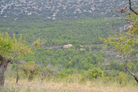 Finca in vendita a Benimantell, Alicante, Spagna 4 camere da letto, 400 mq. N° 192523 - foto 19