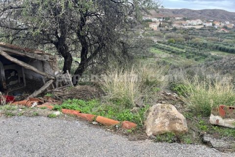 House zum Verkauf in Oria, Almeria, Spanien 109 m2 Nr. 184020 - Foto 8