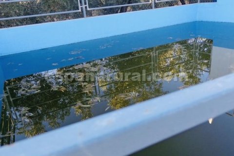Villa zum Verkauf in Baza, Granada, Spanien 1 Schlafzimmer, 95 m2 Nr. 184016 - Foto 10