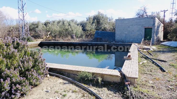 House in Baza, Granada, Spanien 4 Schlafzimmer, 300 m2 Nr. 184014