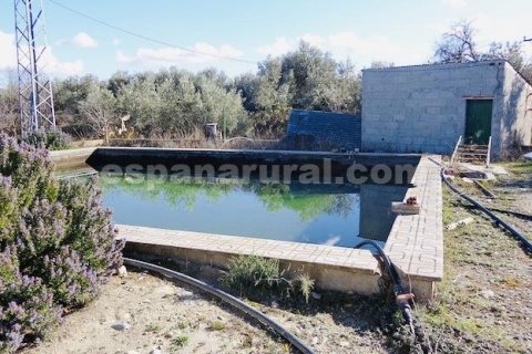 House for sale in Baza, Granada, Spain 4 bedrooms, 300 sq.m. No. 184014 - photo 20