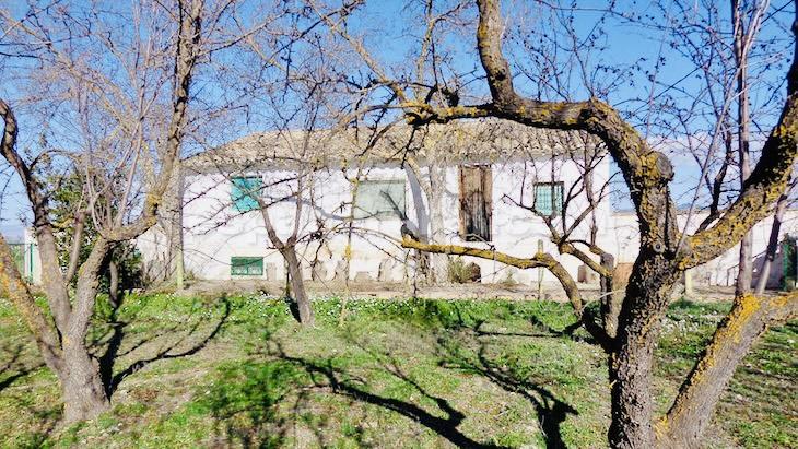House in Baza, Granada, Spanien 4 Schlafzimmer, 300 m2 Nr. 184014