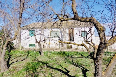 House for sale in Baza, Granada, Spain 4 bedrooms, 300 sq.m. No. 184014 - photo 16
