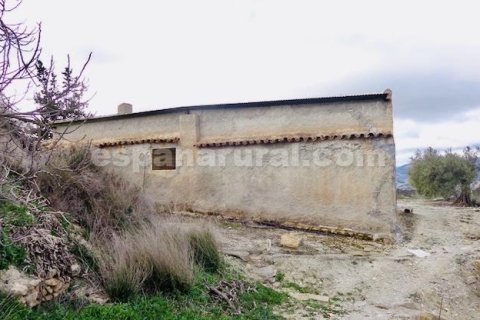 Продажа дома в Сомонтин, Альмерия, Испания 150м2 №184015 - фото 8