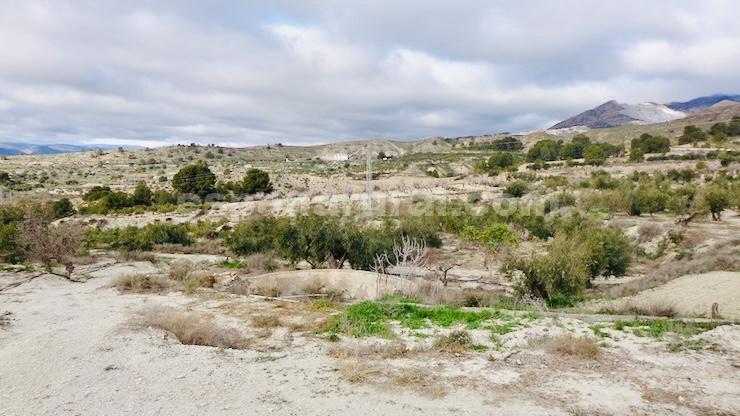 House in Somontin, Almeria, Spanien 150 m2 Nr. 184015