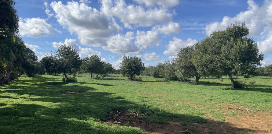 Parcela en Porreres, Mallorca, España 50309 m2 No. 148822