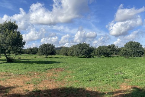 Parcela en Porreres, Mallorca, España 50237 m2 No. 148823