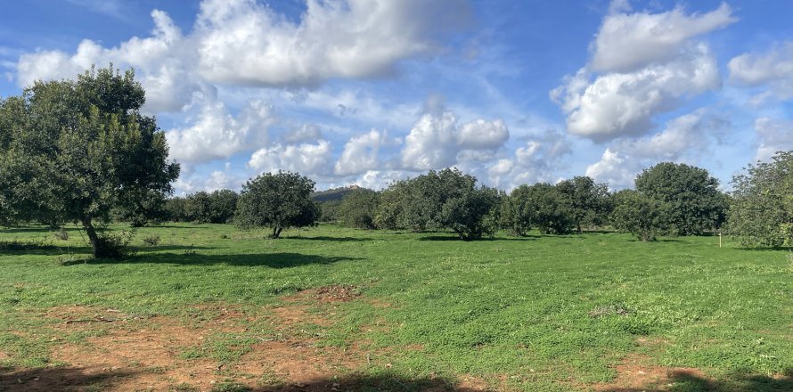 Parcela en Porreres, Mallorca, España 50237 m2 No. 148823