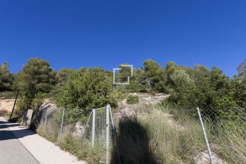 Tontti myytävänä Sitges, Barcelona, Espanja , 1708 m2 No. 192661 - kuva 6