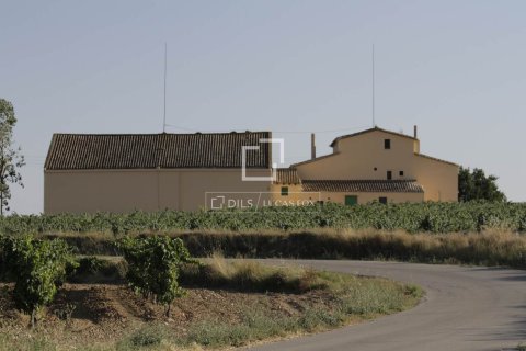 Finca zum Verkauf in Sitges, Barcelona, Spanien 12 Schlafzimmer, 1314 m2 Nr. 192660 - Foto 7