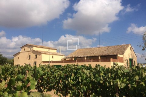 Finca zum Verkauf in Sitges, Barcelona, Spanien 12 Schlafzimmer, 1314 m2 Nr. 192660 - Foto 3