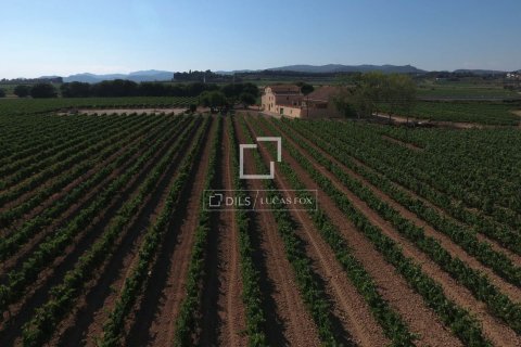 Finca zum Verkauf in Sitges, Barcelona, Spanien 12 Schlafzimmer, 1314 m2 Nr. 192660 - Foto 16