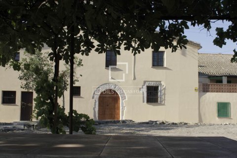 Finca in Sitges, Barcelona, Spanien 12 Schlafzimmer, 1314 m2 Nr. 192660