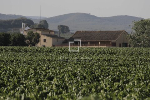Finca zum Verkauf in Sitges, Barcelona, Spanien 12 Schlafzimmer, 1314 m2 Nr. 192660 - Foto 15