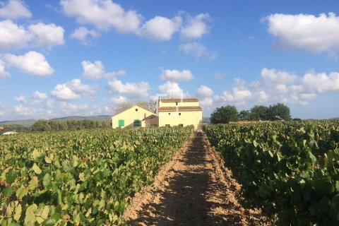 Finca zum Verkauf in Sitges, Barcelona, Spanien 12 Schlafzimmer, 1314 m2 Nr. 192660 - Foto 5