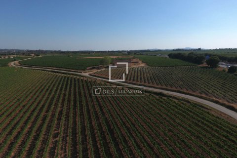 Finca zum Verkauf in Sitges, Barcelona, Spanien 12 Schlafzimmer, 1314 m2 Nr. 192660 - Foto 17