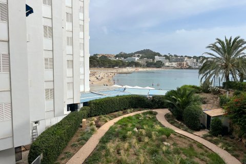 Apartment à louer à Santa Ponsa, Mallorca, Espagne, 1 chambre, 48 m2 No. 155324 - photo 11