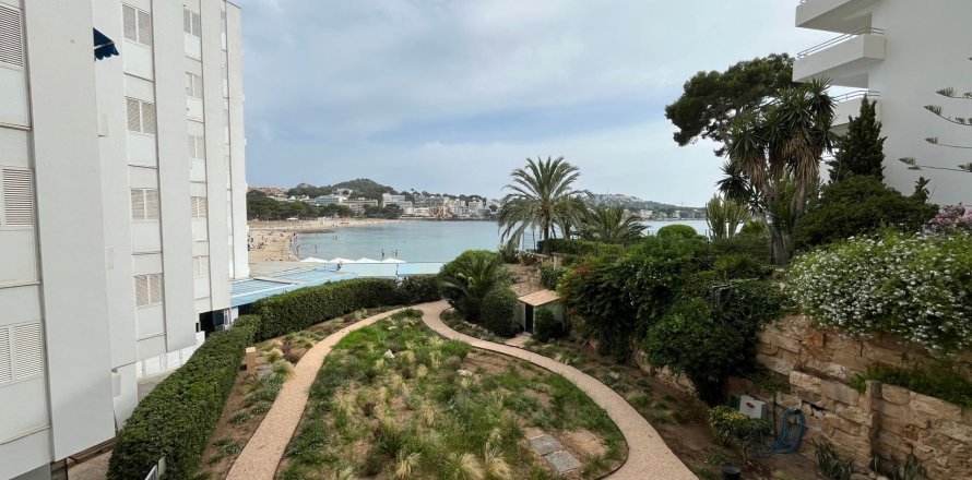 Apartment à Santa Ponsa, Mallorca, Espagne 1 chambre, 48 m2 No. 155324